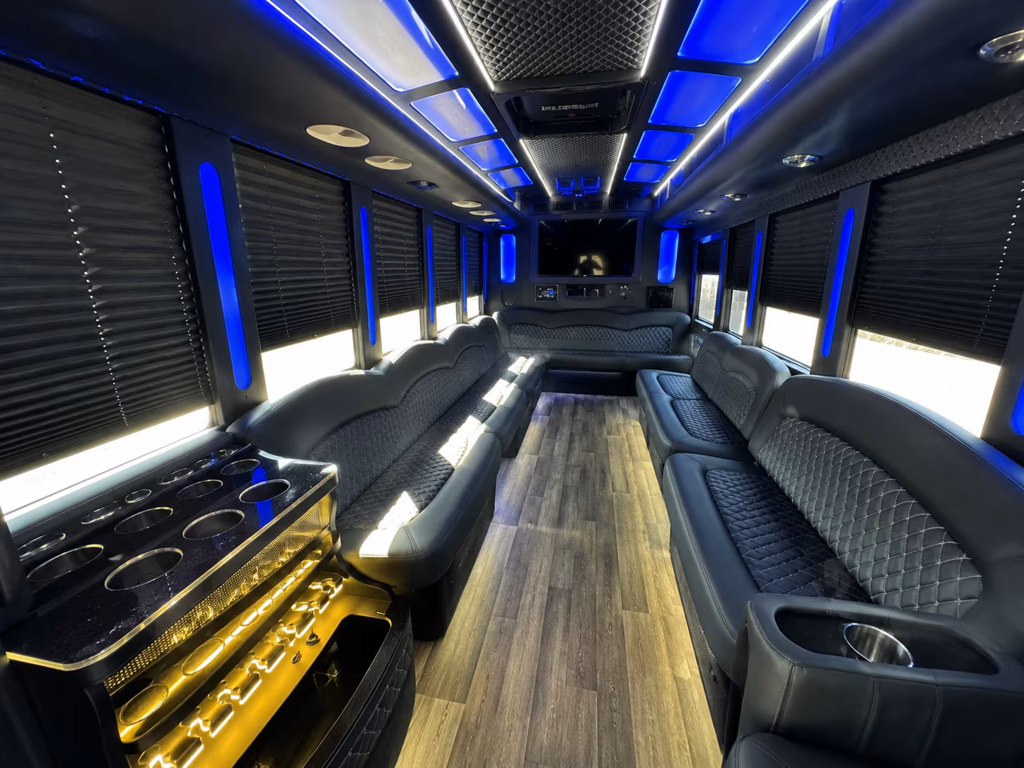 rochester hills birthday party bus rental
